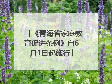 《青海省家庭教育促进条例》自6月1日起施行