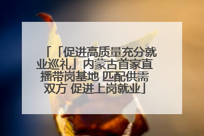「促进高质量充分就业巡礼」内蒙古首家直播带岗基地 匹配供需双方 促进上岗就业