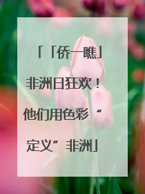 「侨一瞧」非洲日狂欢！他们用色彩“定义”非洲