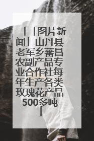 「图片新闻」山丹县老军乡蕃昌农副产品专业合作社每年生产各类玫瑰花产品500多吨