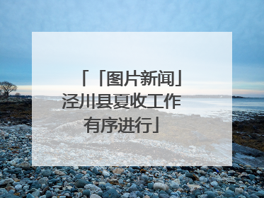 「图片新闻」泾川县夏收工作有序进行