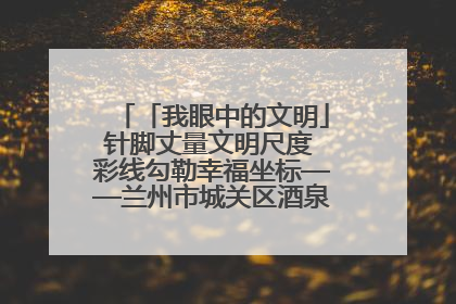 「我眼中的文明」针脚丈量文明尺度 彩线勾勒幸福坐标——兰州市城关区酒泉路街道办事处
