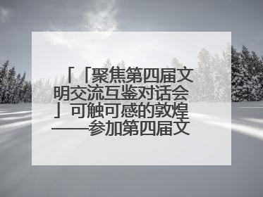 「聚焦第四届文明交流互鉴对话会」可触可感的敦煌——参加第四届文明交流互鉴对话会的外宾参观上元市集