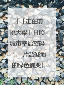 「走在前 挑大梁」日照城市幸福密码：一片盐碱地的绿色蝶变