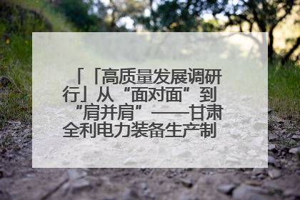 「高质量发展调研行」从“面对面”到“肩并肩”——甘肃全利电力装备生产制造项目一线见闻