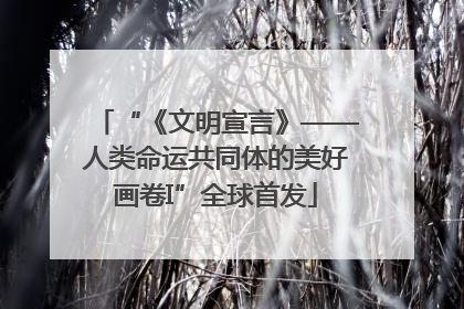 “《文明宣言》——人类命运共同体的美好画卷I”全球首发
