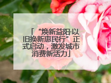 “焕新益阳·以旧换新惠民行”正式启动，激发城市消费新活力