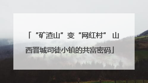 “矿渣山”变“网红村” 山西晋城司徒小镇的共富密码