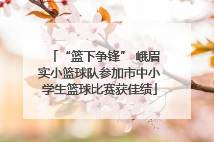 “篮下争锋” 峨眉实小篮球队参加市中小学生篮球比赛获佳绩