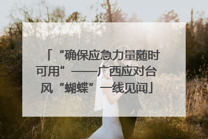 “确保应急力量随时可用”——广西应对台风“蝴蝶”一线见闻