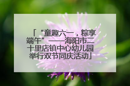 “童趣六一，粽享端午”——海阳市二十里店镇中心幼儿园举行双节同庆活动