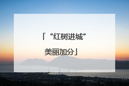 “红树进城” 美丽加分