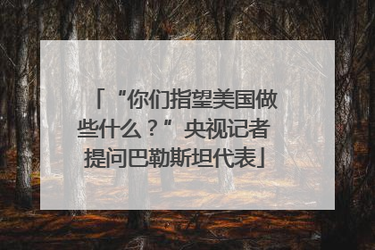“你们指望美国做些什么？”央视记者提问巴勒斯坦代表