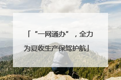 “一网通办”，全力为夏收生产保驾护航