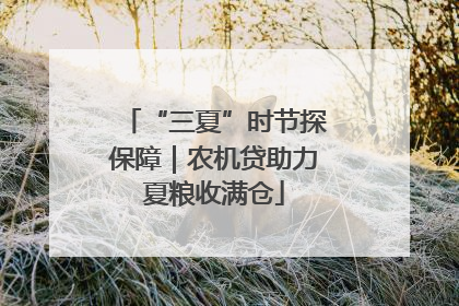 “三夏”时节探保障｜农机贷助力夏粮收满仓