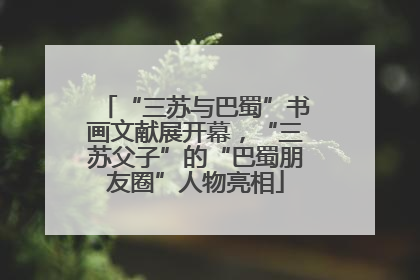 “三苏与巴蜀”书画文献展开幕，“三苏父子”的“巴蜀朋友圈”人物亮相