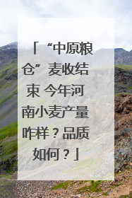 “中原粮仓”麦收结束 今年河南小麦产量咋样？品质如何？