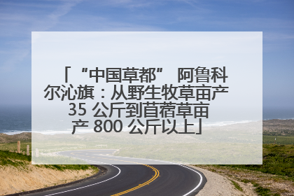 “中国草都” 阿鲁科尔沁旗：从野生牧草亩产 35 公斤到苜蓿草亩产 800 公斤以上