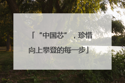 “中国芯”，珍惜向上攀登的每一步