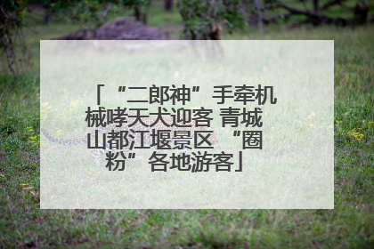 “二郎神”手牵机械哮天犬迎客 青城山都江堰景区 “圈粉”各地游客