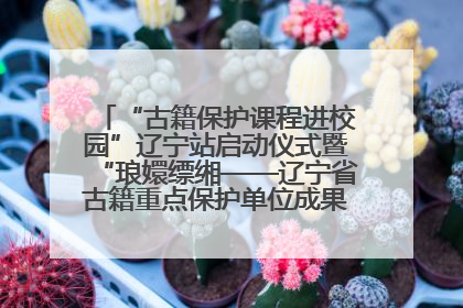 “古籍保护课程进校园”辽宁站启动仪式暨“琅嬛缥缃——辽宁省古籍重点保护单位成果展”在辽宁大学举行