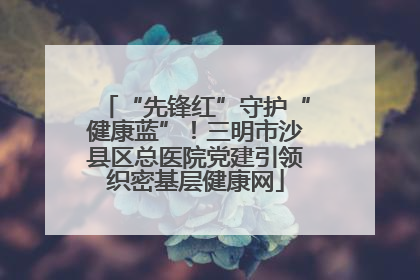 “先锋红”守护“健康蓝”！三明市沙县区总医院党建引领织密基层健康网