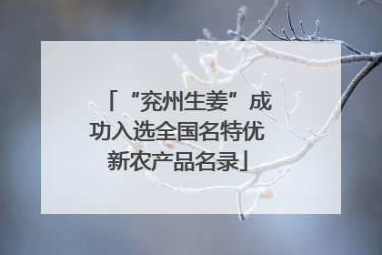 “兖州生姜”成功入选全国名特优新农产品名录