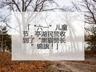 “六一”儿童节，亭湖民警收到了“黑猫警长”锦旗！