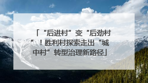 “后进村”变“后劲村”！胜利村探索走出“城中村”转型治理新路径