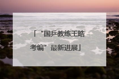 “国乒教练王皓考编”最新进展