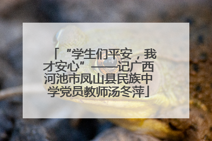 “学生们平安，我才安心”——记广西河池市凤山县民族中学党员教师汤冬萍