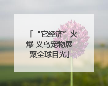 “它经济”火爆 义乌宠物展聚全球目光