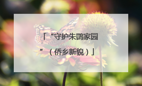 “守护朱鹮家园”（侨乡新貌）