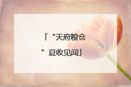 “天府粮仓”夏收见闻