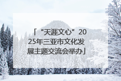 “天涯文心”2025年三亚市文化发展主题交流会举办