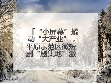 “小屏幕”撬动“大产业”，平原示范区微短剧“剧集地”激活文化新经济