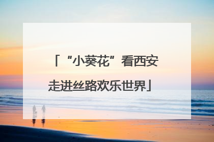 “小葵花”看西安走进丝路欢乐世界