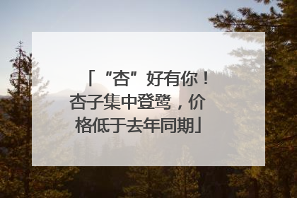 “杏”好有你！杏子集中登鹭，价格低于去年同期