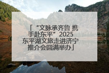“文脉承齐鲁 携手赴东平”2025东平湖文旅走进济宁推介会圆满举办
