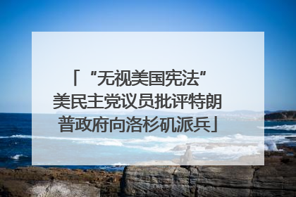 “无视美国宪法” 美民主党议员批评特朗普政府向洛杉矶派兵