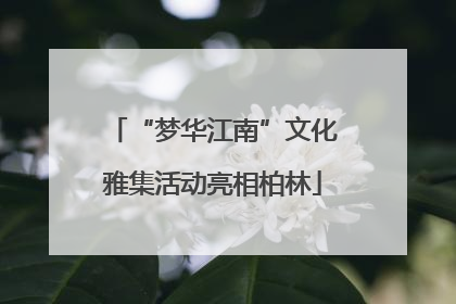 “梦华江南”文化雅集活动亮相柏林