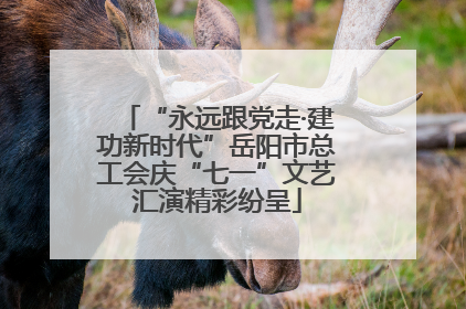 “永远跟党走·建功新时代”岳阳市总工会庆“七一”文艺汇演精彩纷呈