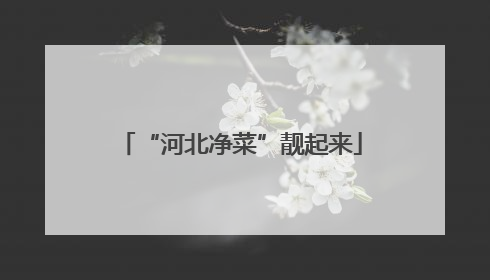 “河北净菜”靓起来