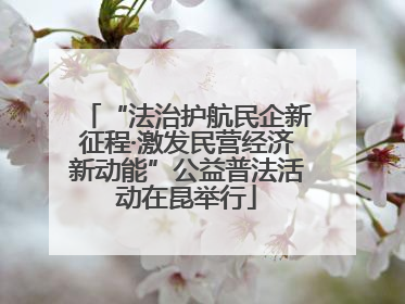 “法治护航民企新征程·激发民营经济新动能”公益普法活动在昆举行