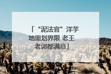 “泥法官”洋芋地里划界限 老王老郭都满意