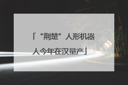 “荆楚”人形机器人今年在汉量产