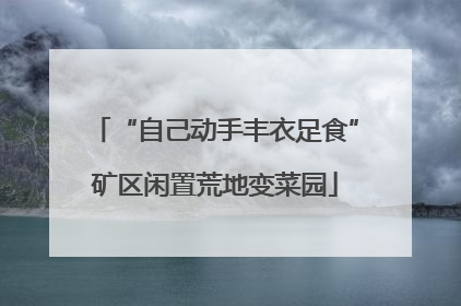 “自己动手丰衣足食”矿区闲置荒地变菜园