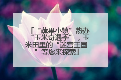 “蔬果小镇”热办“玉米奇遇季”，玉米田里的“迷宫王国”等您来探索