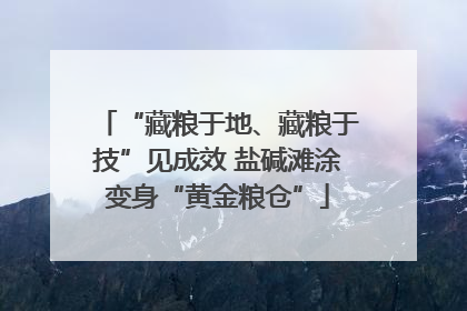 “藏粮于地、藏粮于技”见成效 盐碱滩涂变身“黄金粮仓”