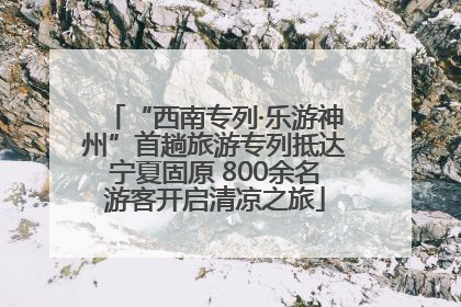 “西南专列·乐游神州”首趟旅游专列抵达宁夏固原 800余名游客开启清凉之旅